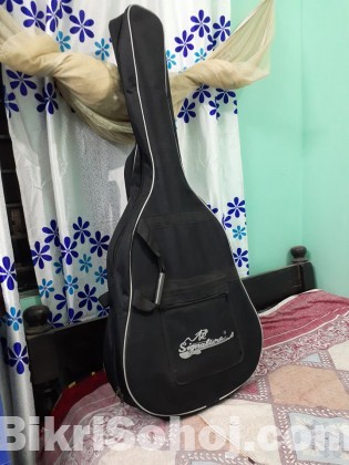 Acoustic Guitar